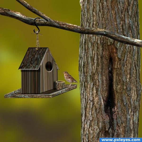 Creation of Bird House: Final Result
